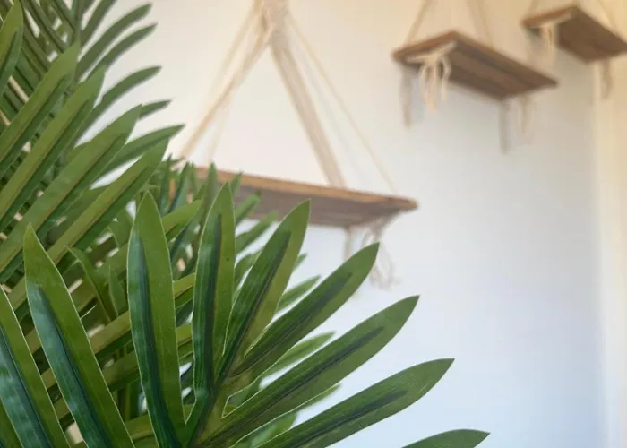 Signature - Ocean Oasis Appartement
